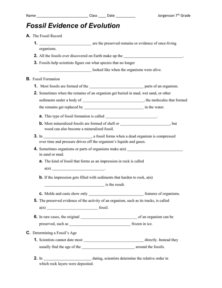 Best 45 Evidence Of Evolution Worksheets Ideas 27