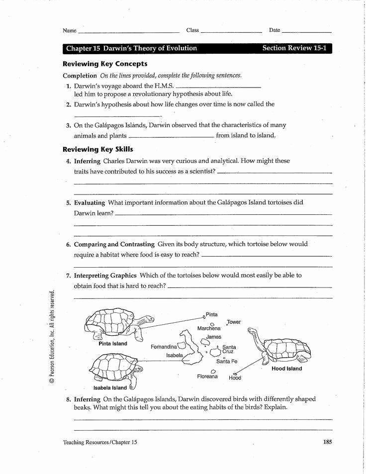 Best 45 Evidence Of Evolution Worksheets Ideas 29