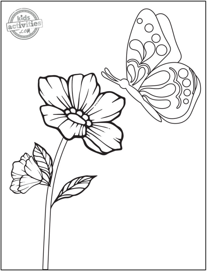 Best 45 Summer I Turned Pretty Coloring Pages Ideas 43