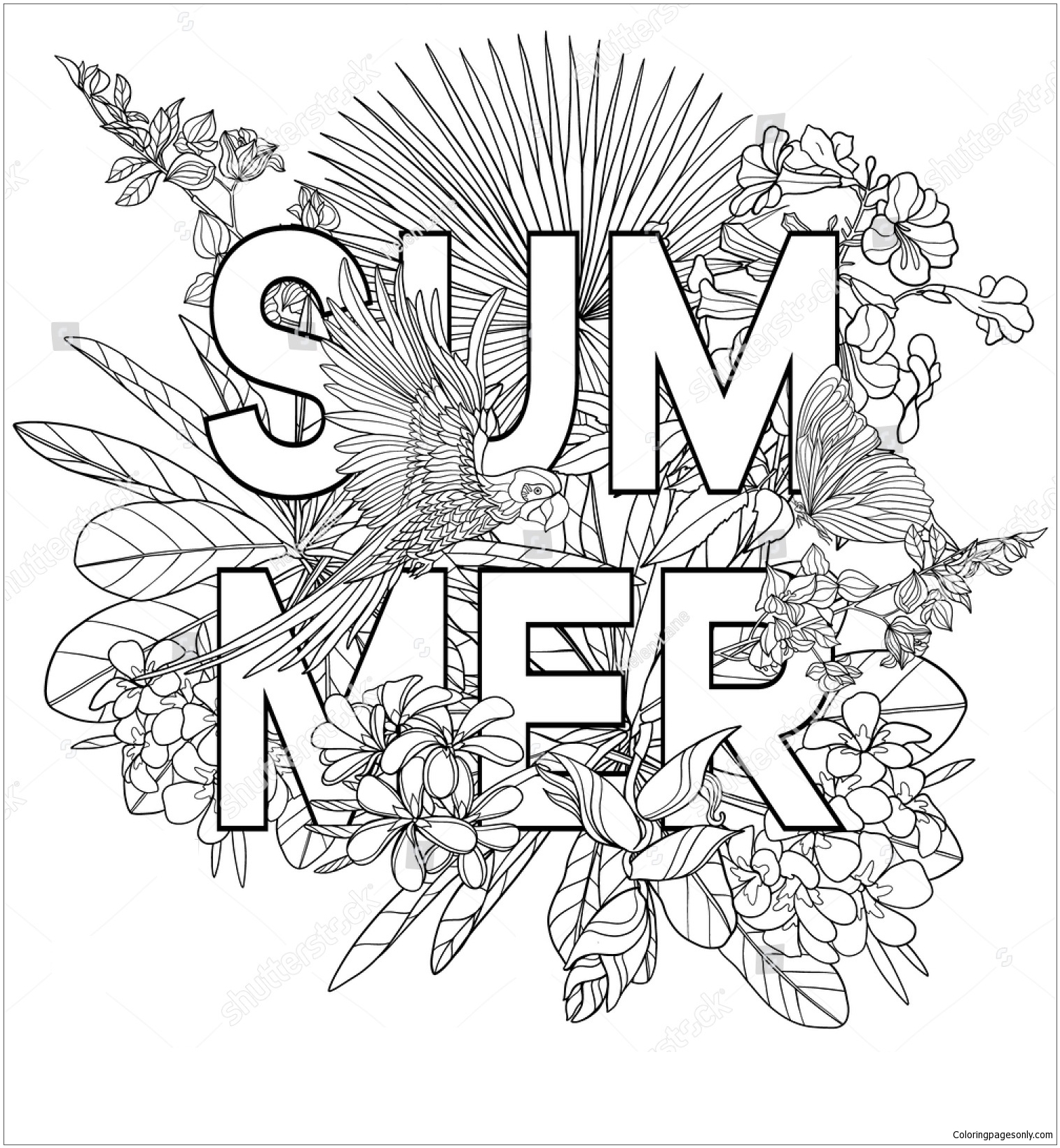 Best 45 Summer Items Coloring Pages Ideas 16