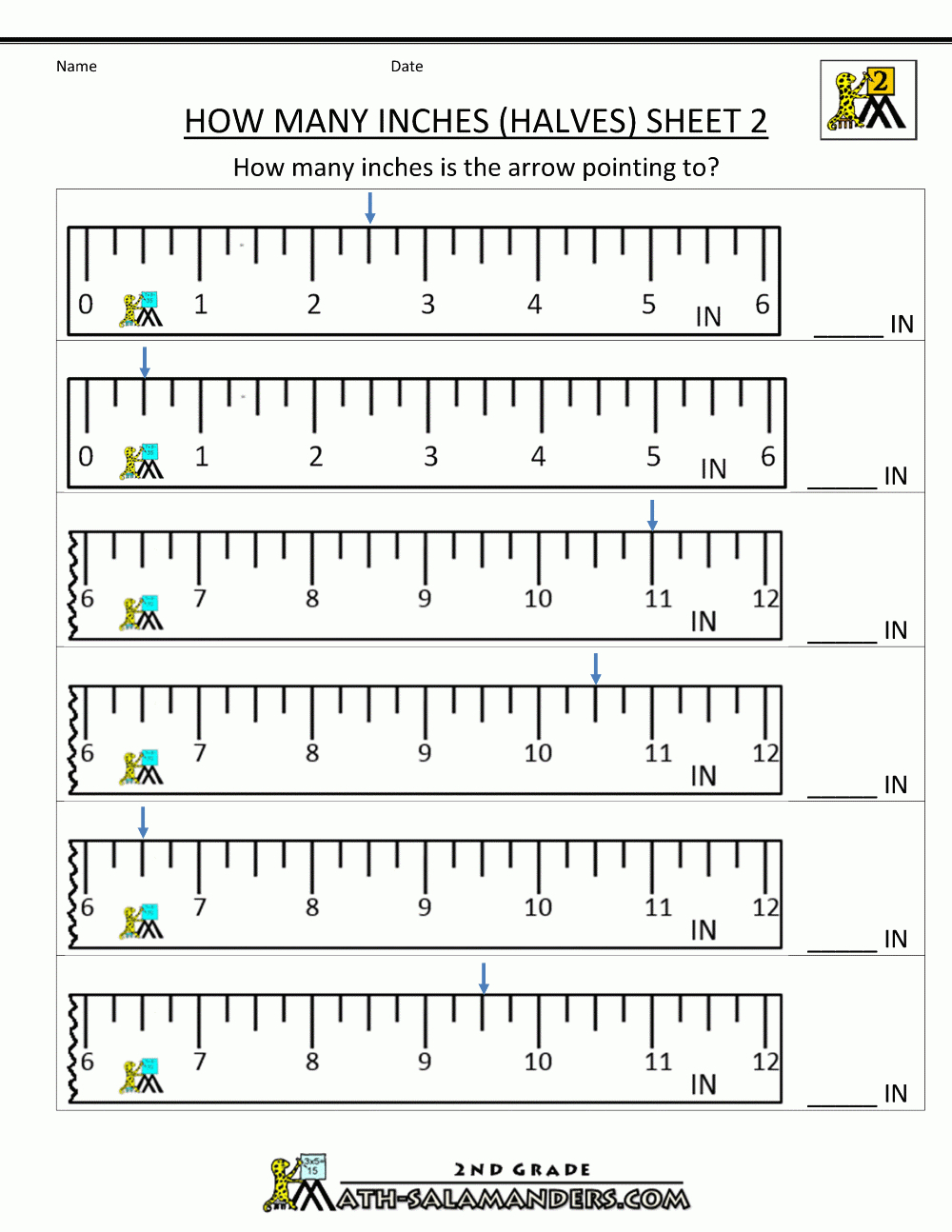 Best 50 Read A Tape Measure Worksheets Ideas 29