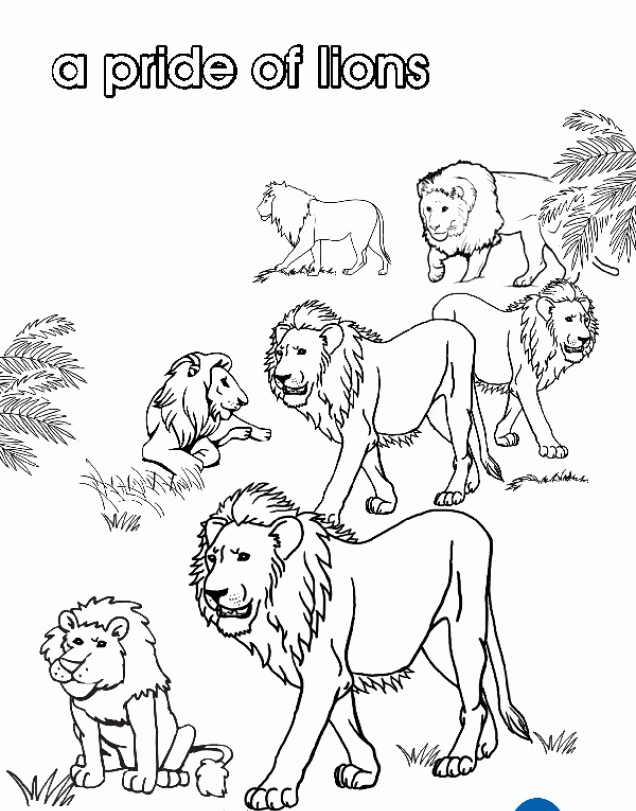 Get 85 Pride Coloring Pages Ideas 48