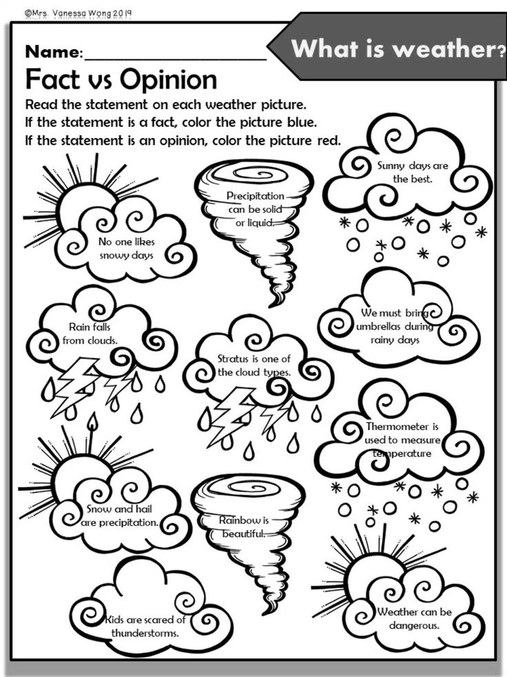 20 Science Worksheets For Kids 1St Grade