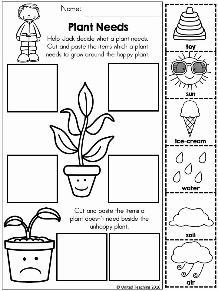 20 Science Worksheets For Kids 1St Grade