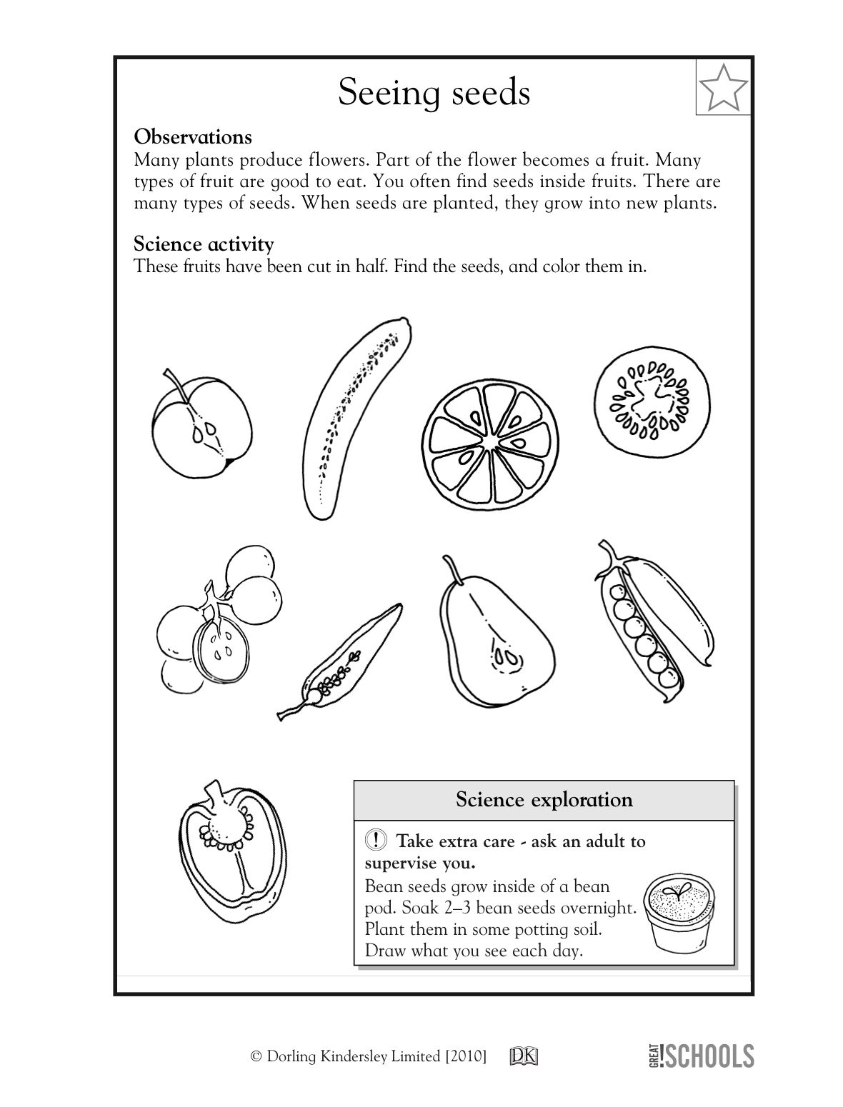 20 Science Worksheets For Kids 1St Grade