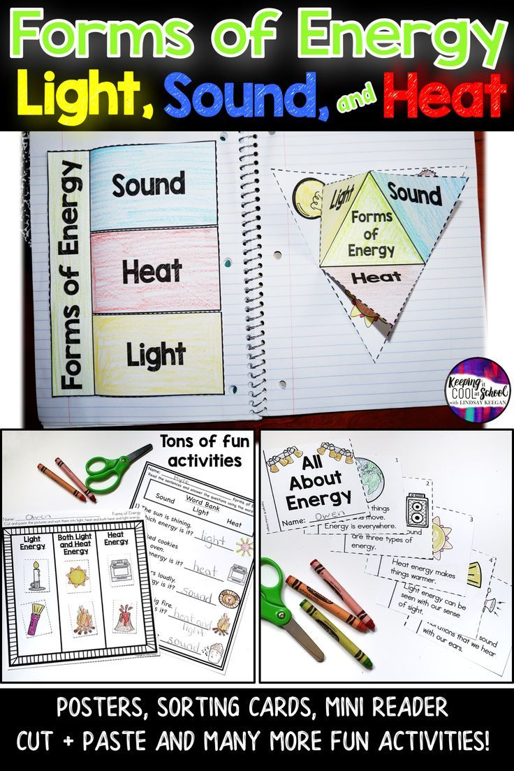 20 Science Worksheets For Kids 1St Grade