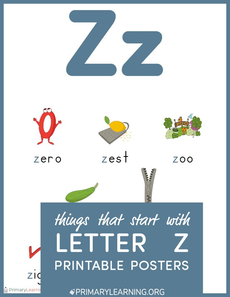 30 Letter Z Kindergarten Worksheets