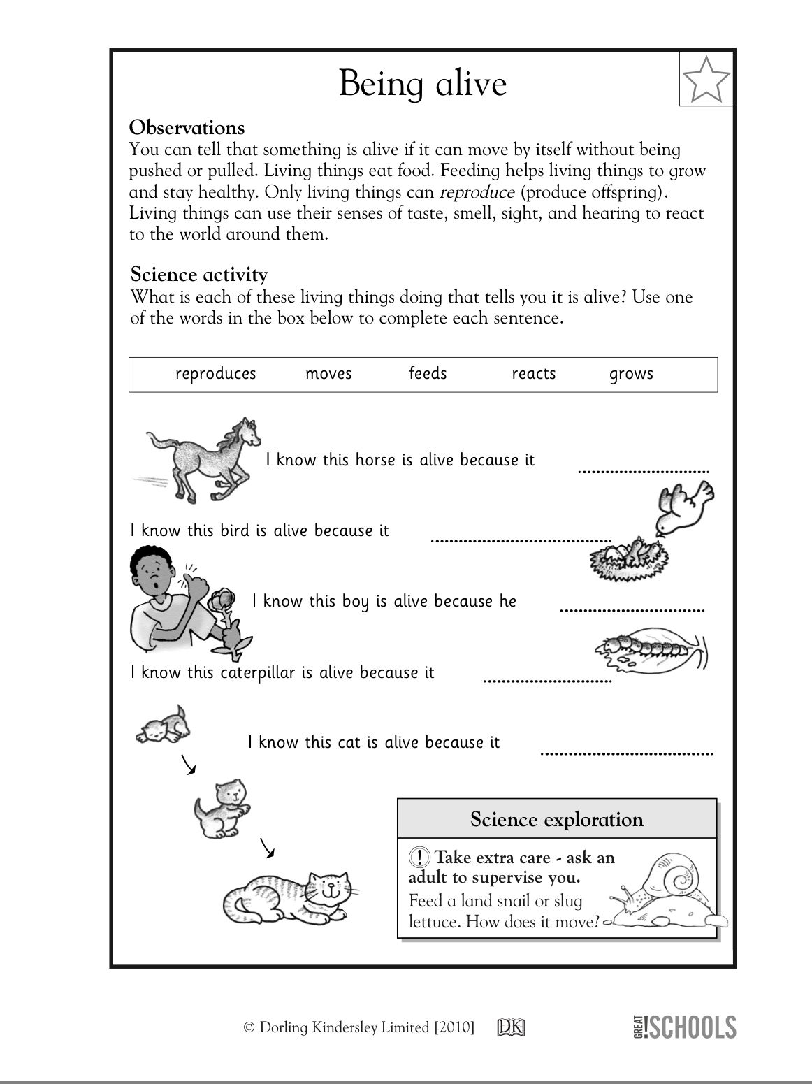 30 Science Worksheets For Kids 1St Grade