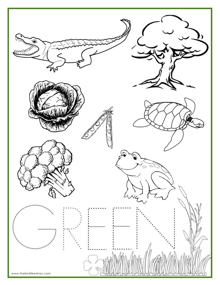 35 Color Green Worksheets For Kindergarten