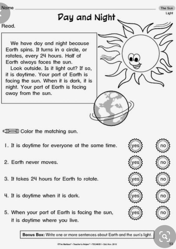 35 Science Worksheets For Kids 1St Grade