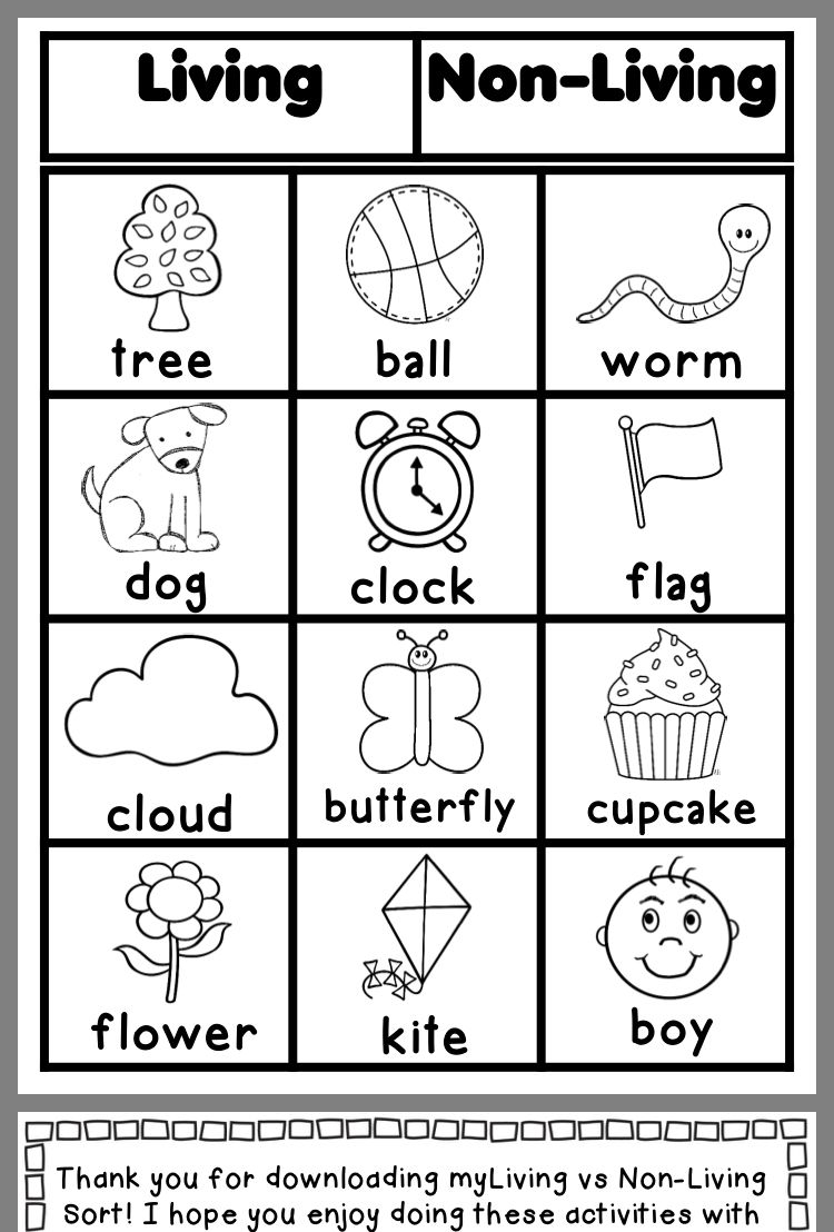 35 Science Worksheets For Kids 1St Grade