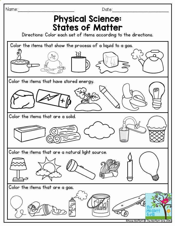 35 Science Worksheets For Kids 1St Grade