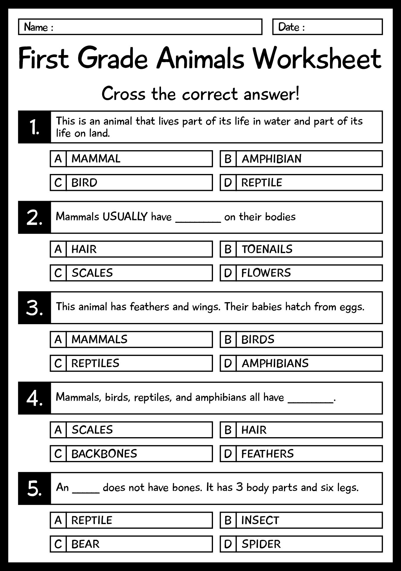 35 Science Worksheets For Kids 1St Grade