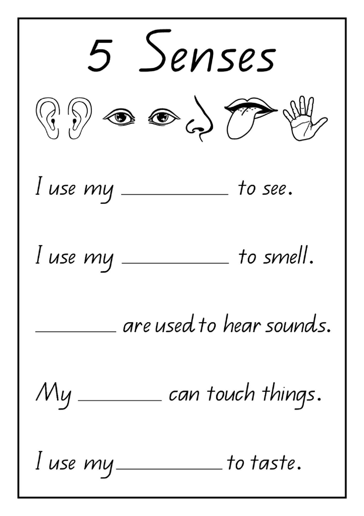 35 Science Worksheets For Kids 1St Grade