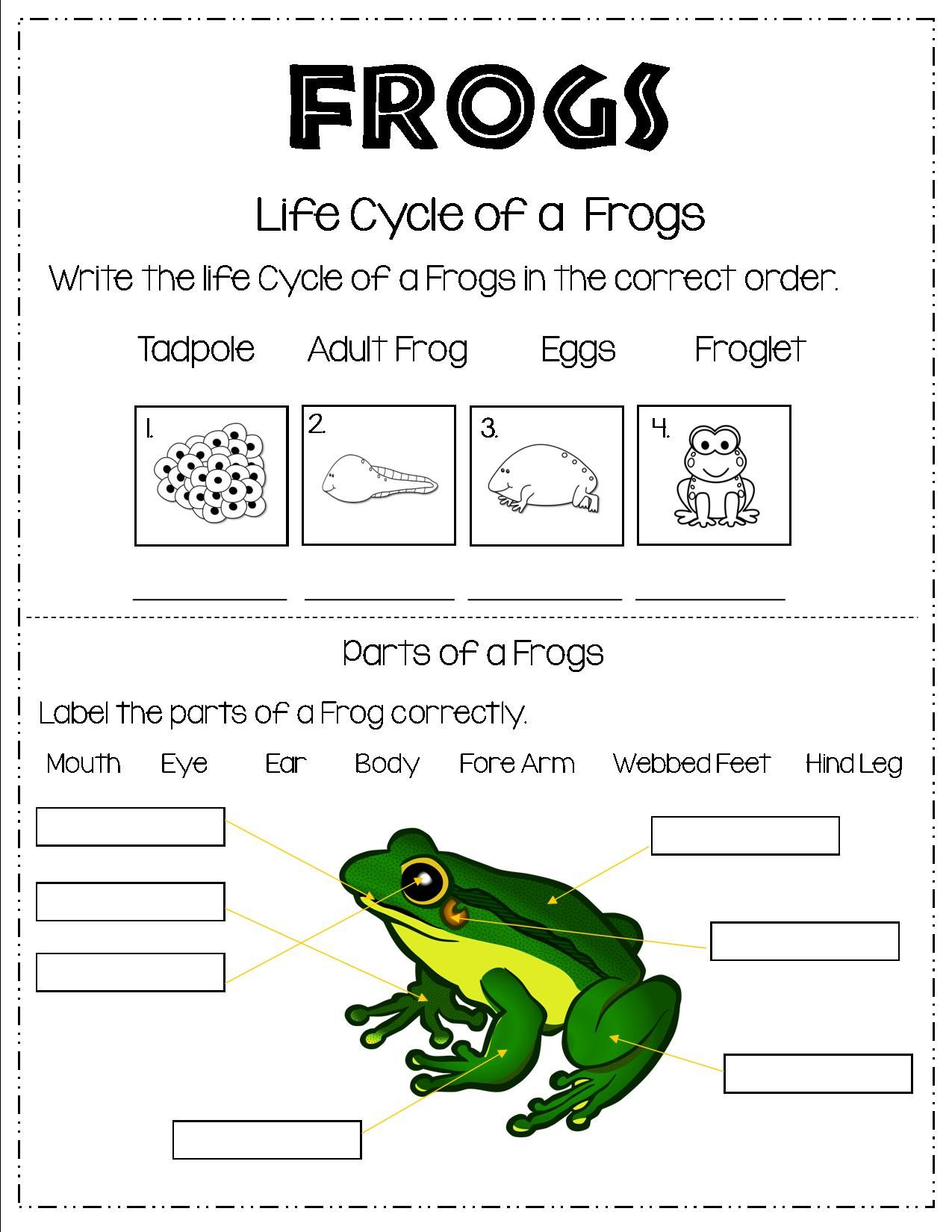 35 Science Worksheets For Kids 1St Grade