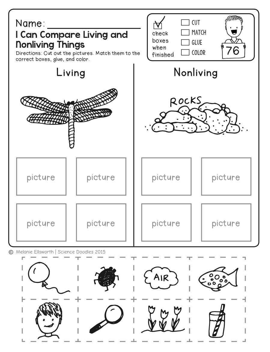 35 Science Worksheets For Kids 1St Grade