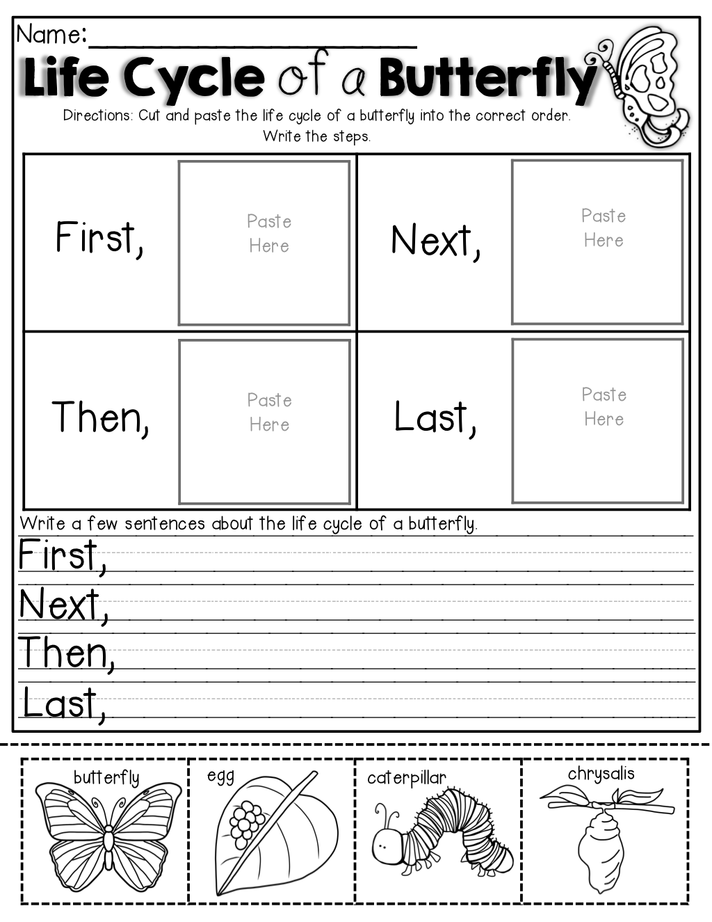 35 Science Worksheets For Kids 1St Grade