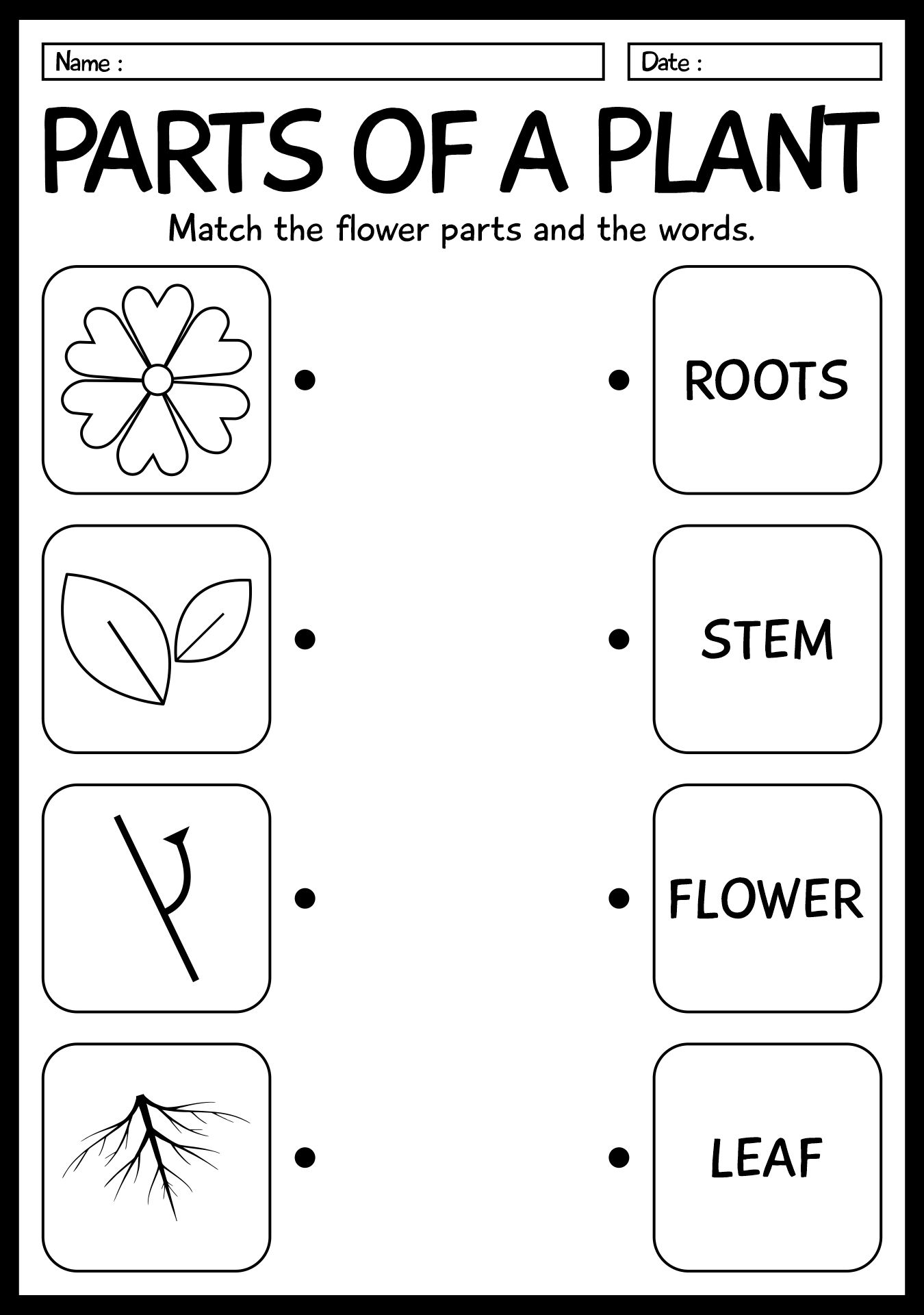 35 Science Worksheets For Kids 1St Grade