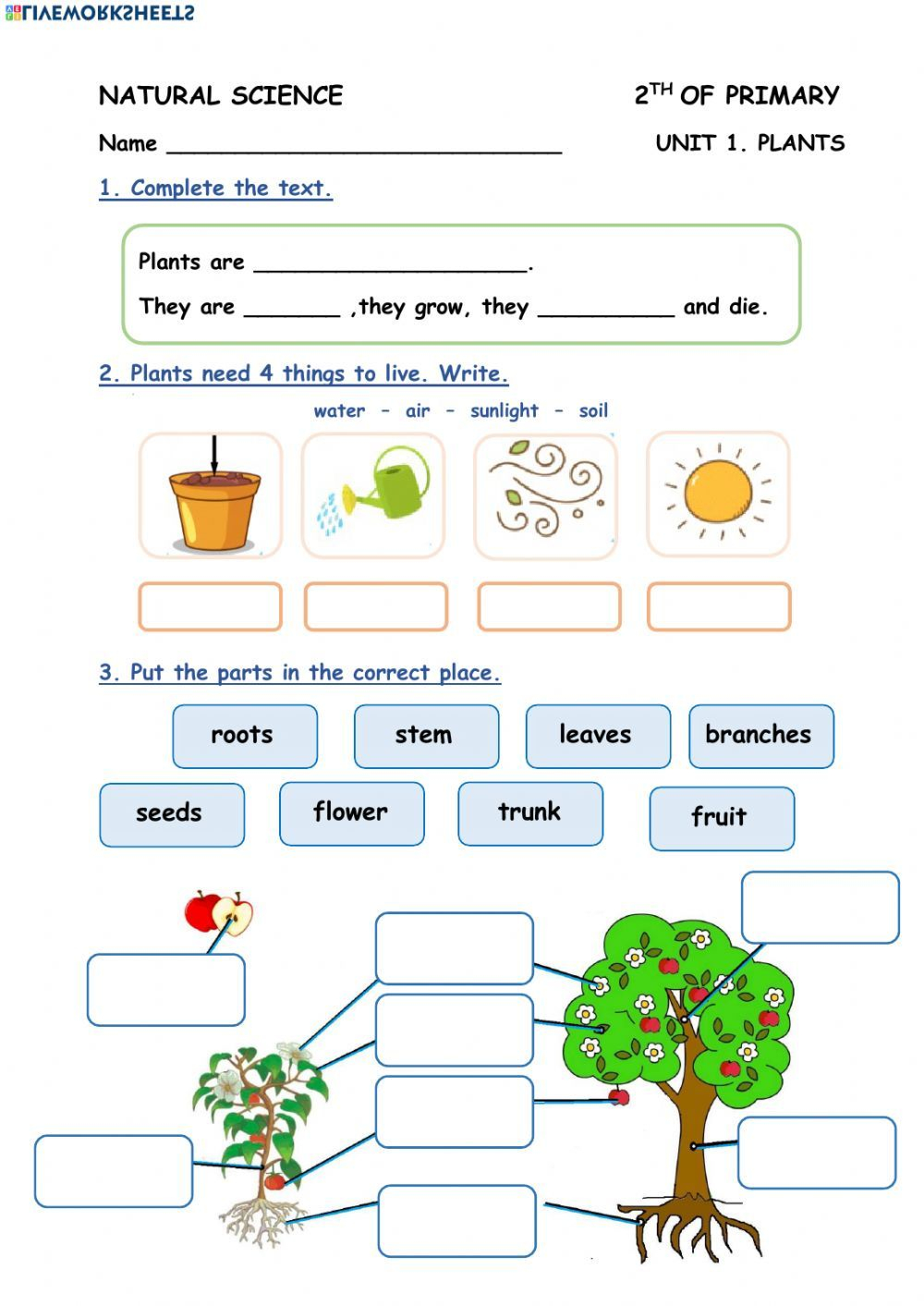 21 Science Worksheets For Kids 1St Grade