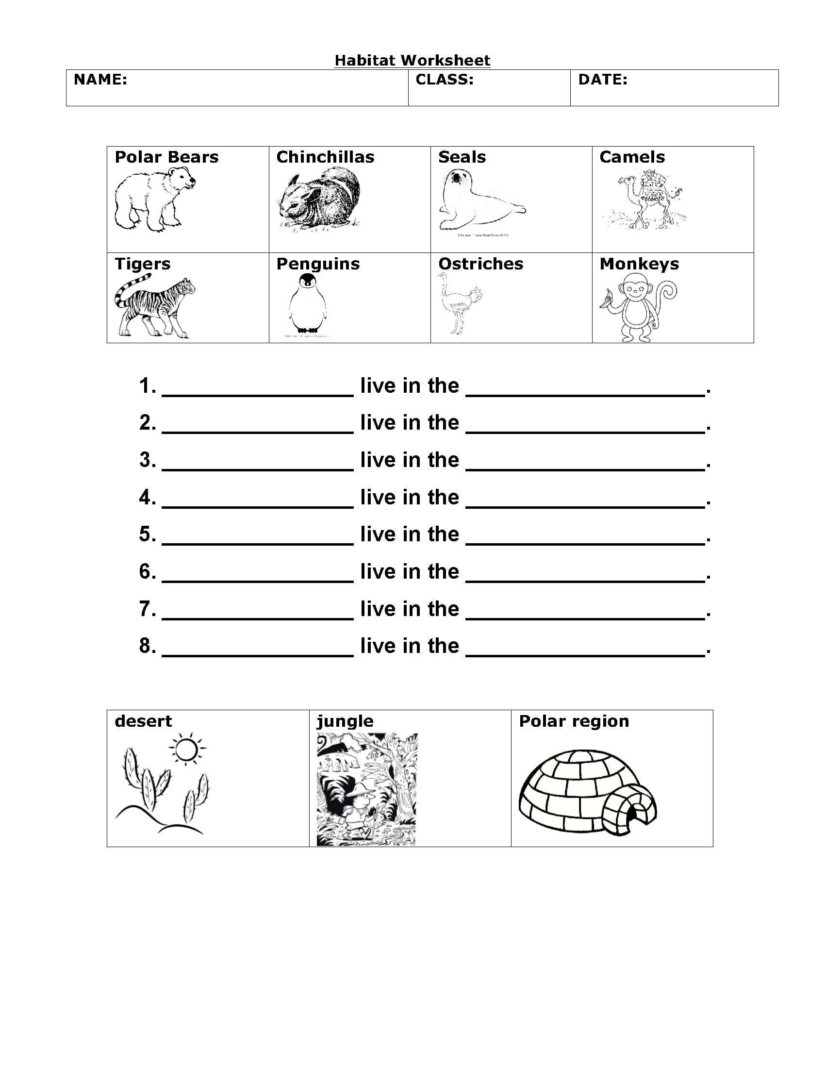 21 Science Worksheets For Kids 1St Grade