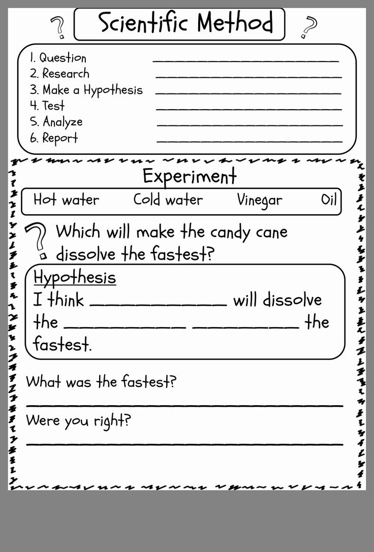 21 Science Worksheets For Kids 1St Grade