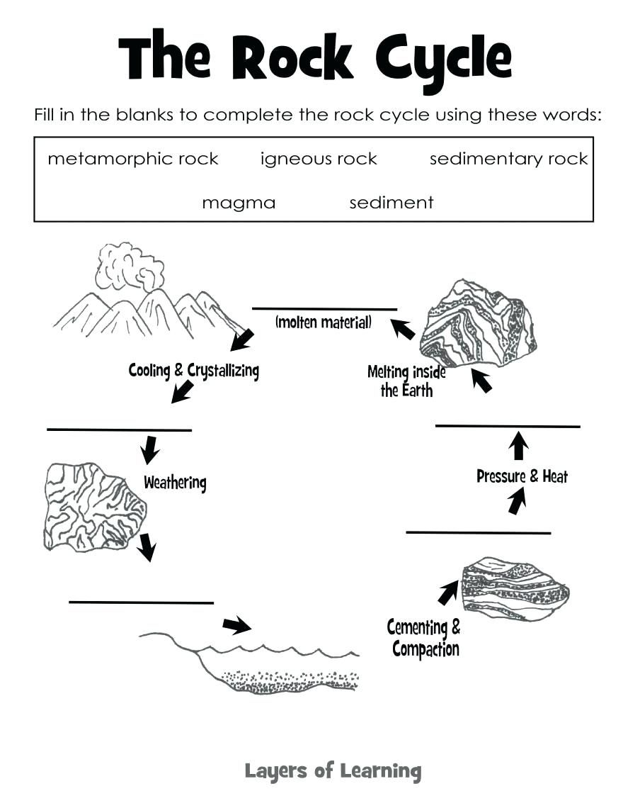 21 Science Worksheets For Kids 1St Grade