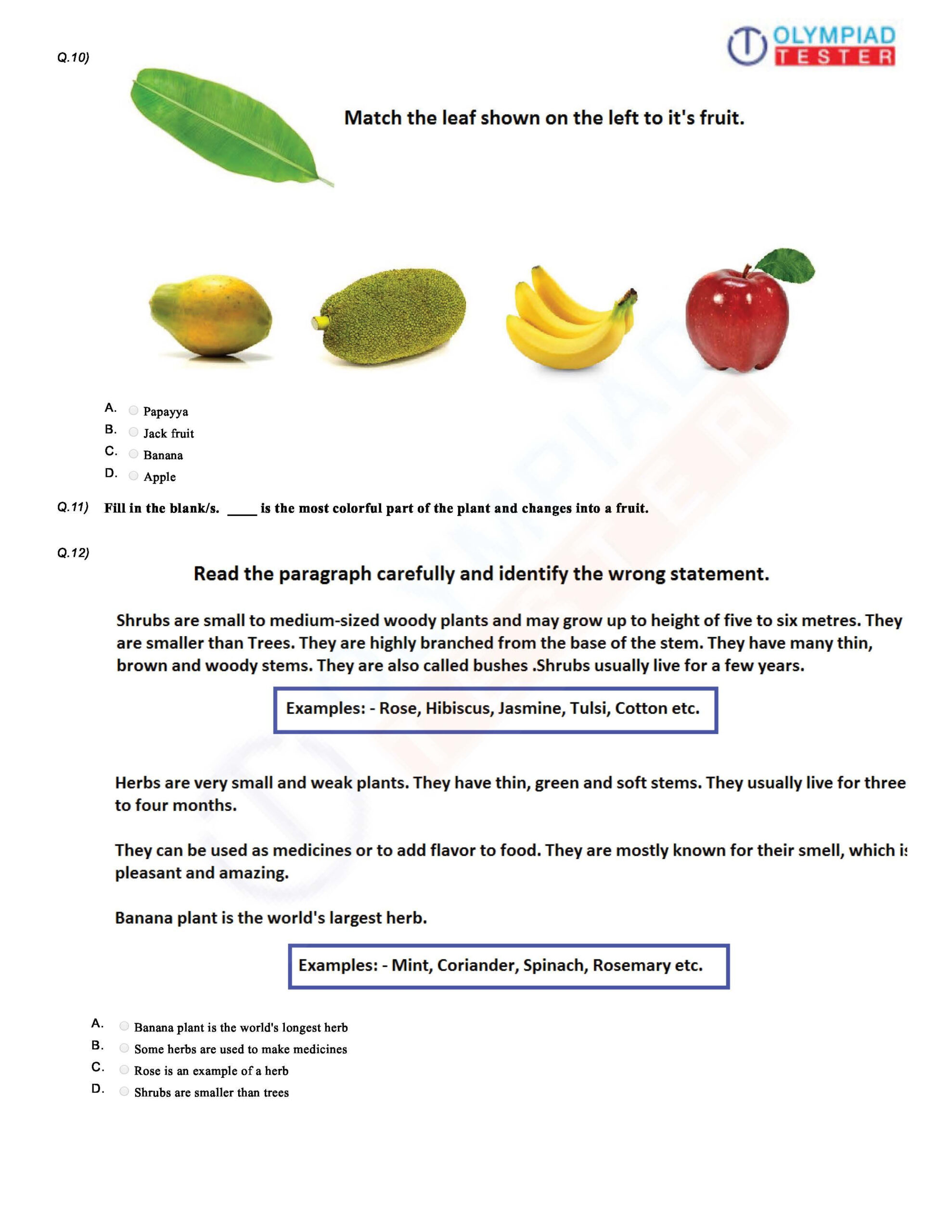 21 Science Worksheets For Kids 1St Grade