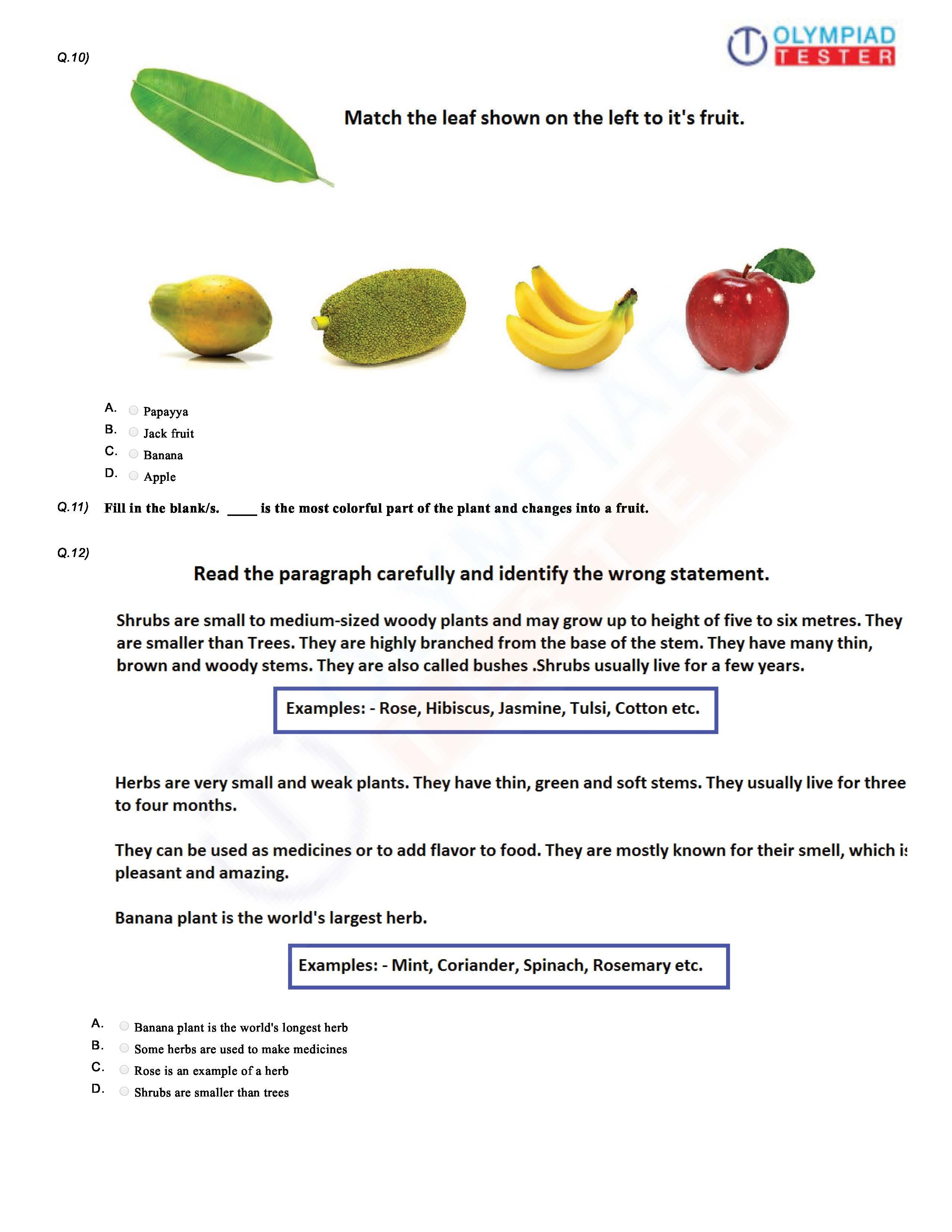 21 Science Worksheets For Kids 1St Grade